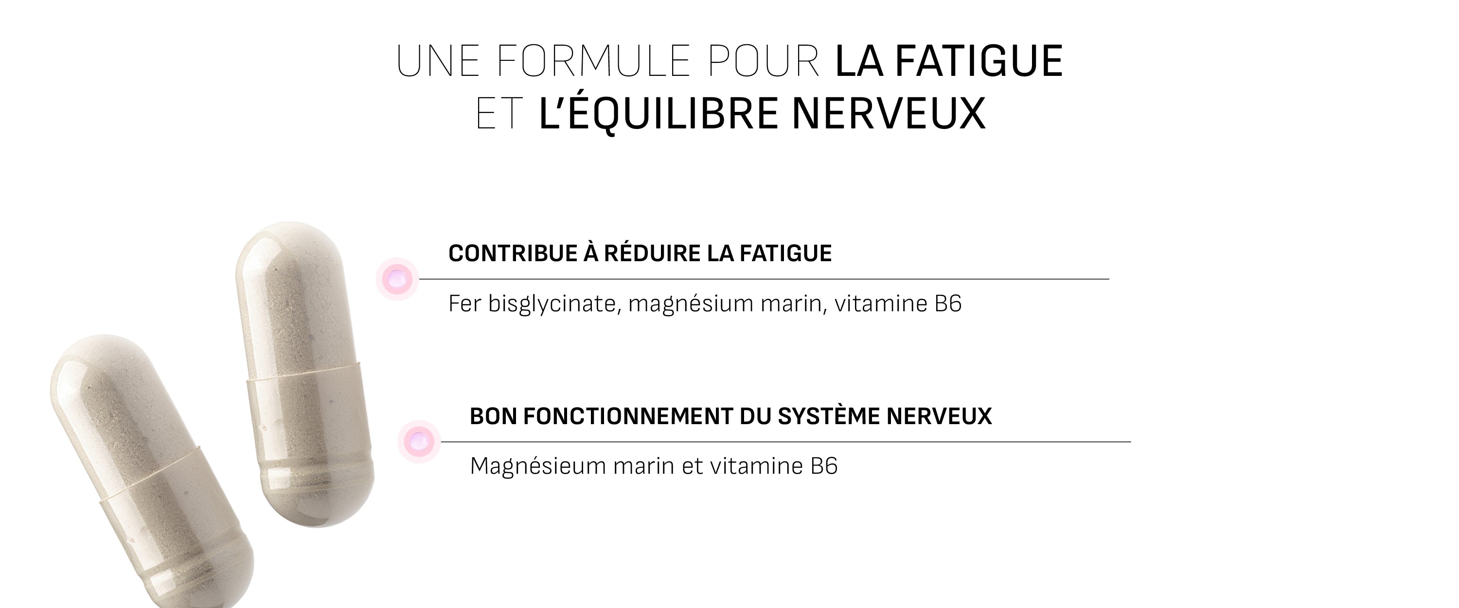 lang:fr