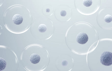 Cellules reproductrices stylisées évoquant la fertilité et la santé ovarienne
